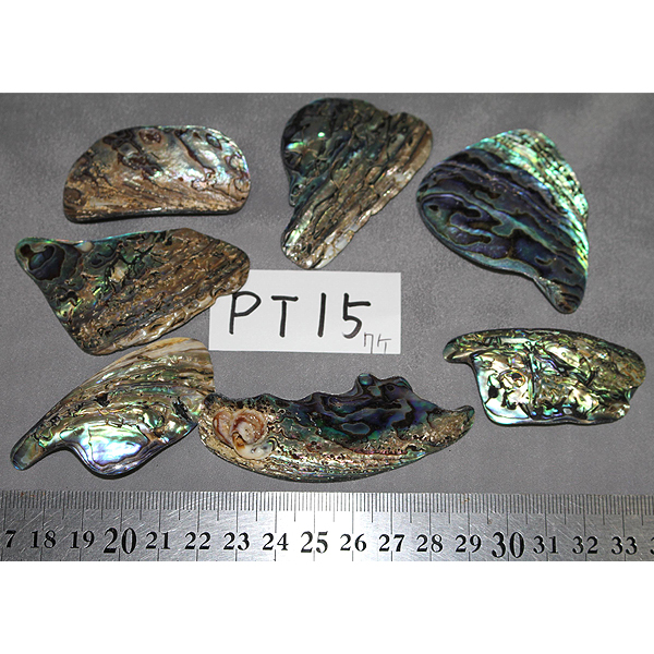 ニュージーランド(NZ) パウア貝(Paua Shell) 天然石ビーズ 販売