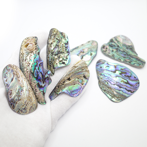 ニュージーランド(NZ) パウア貝(Paua Shell) 天然石ビーズ 販売
