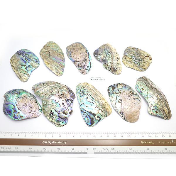 ニュージーランド(NZ) パウア貝(Paua Shell) 天然石ビーズ 販売