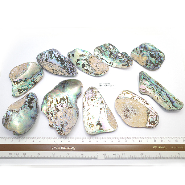 ニュージーランド(NZ) パウア貝(Paua Shell) 天然石ビーズ 販売