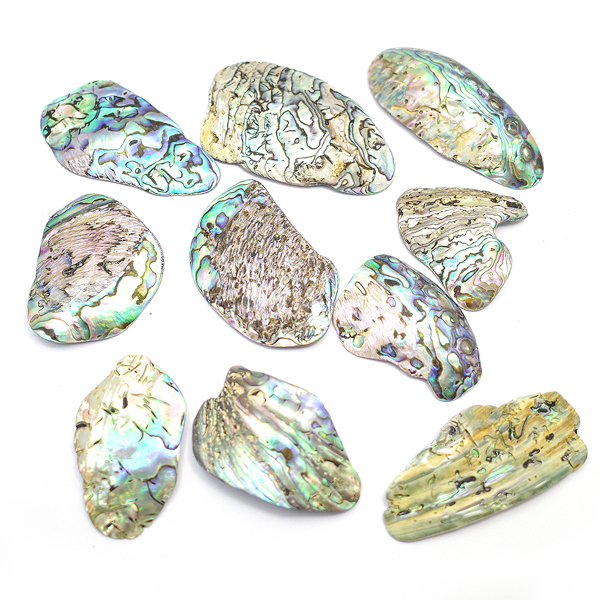 ニュージーランド(NZ) パウア貝(Paua Shell) 天然石ビーズ 販売