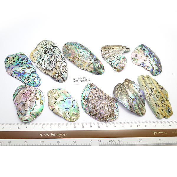 ニュージーランド(NZ) パウア貝(Paua Shell) 天然石ビーズ 販売