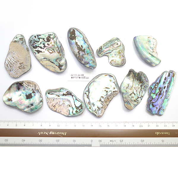 ニュージーランド(NZ) パウア貝(Paua Shell) 天然石ビーズ 販売