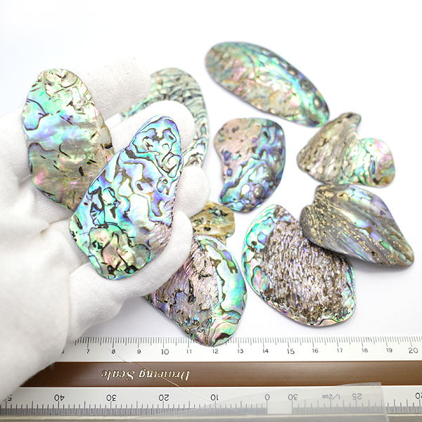 ニュージーランド(NZ) パウア貝(Paua Shell) 天然石ビーズ 販売