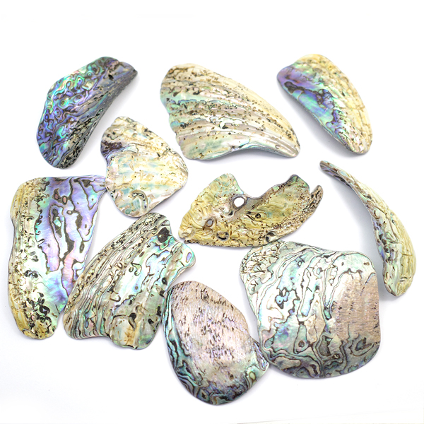 ニュージーランド(NZ) パウア貝(Paua Shell) 天然石ビーズ 販売