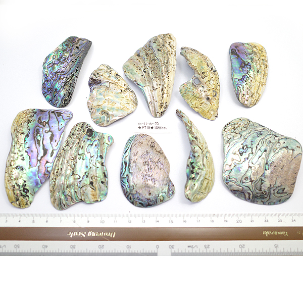 ニュージーランド(NZ) パウア貝(Paua Shell) 天然石ビーズ 販売