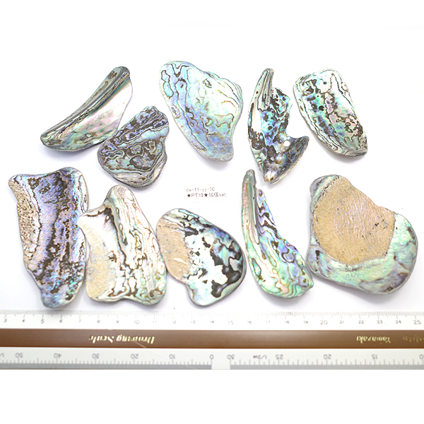 ニュージーランド(NZ) パウア貝(Paua Shell) 天然石ビーズ 販売