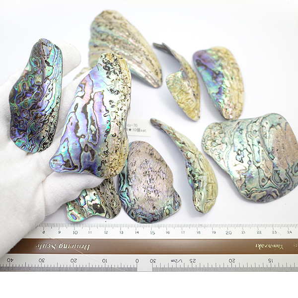 ニュージーランド(NZ) パウア貝(Paua Shell) 天然石ビーズ 販売