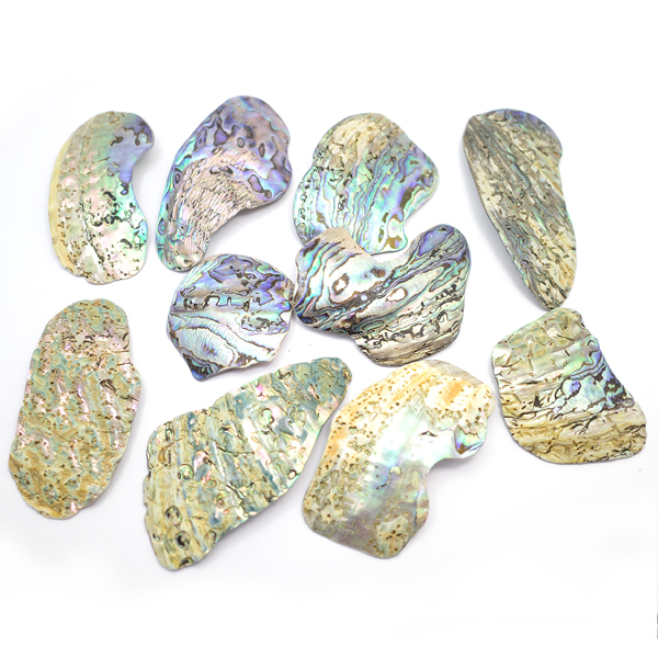 ニュージーランド(NZ) パウア貝(Paua Shell) 天然石ビーズ 販売