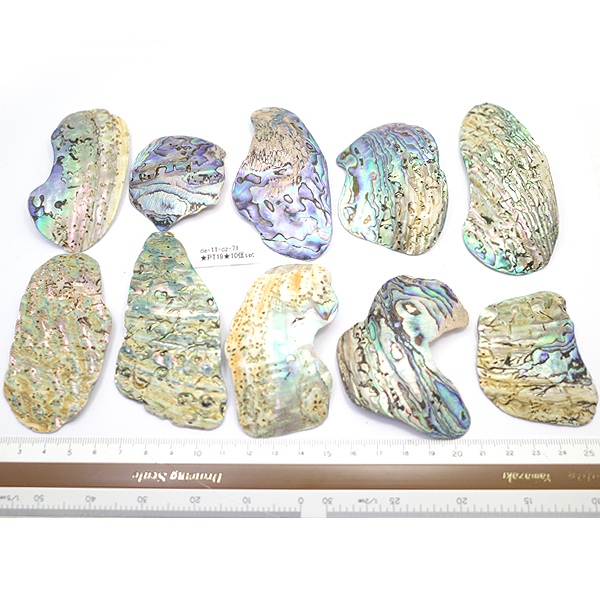 ニュージーランド(NZ) パウア貝(Paua Shell) 天然石ビーズ 販売