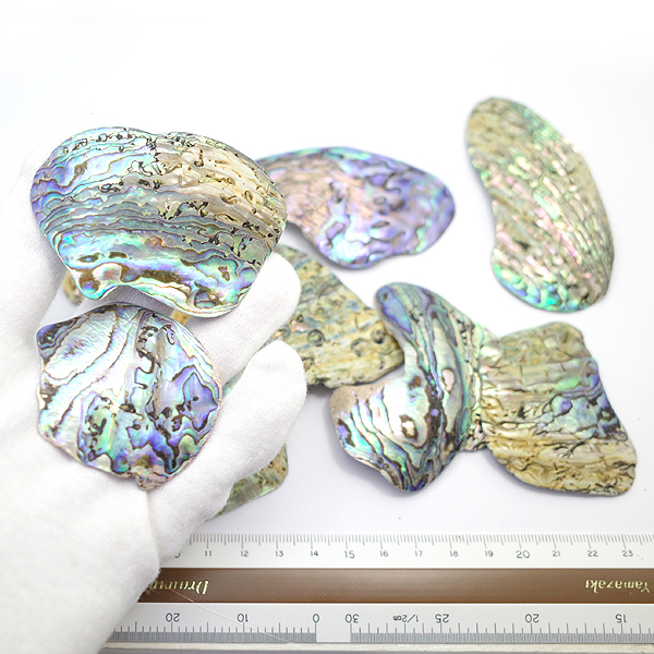 ニュージーランド(NZ) パウア貝(Paua Shell) 天然石ビーズ 販売