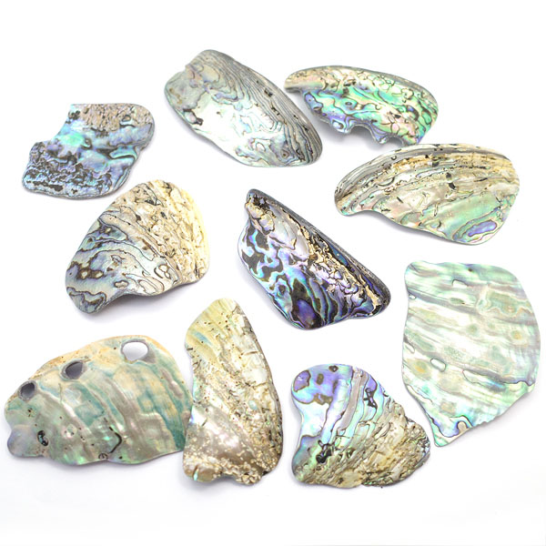 ニュージーランド(NZ) パウア貝(Paua Shell) 天然石ビーズ 販売