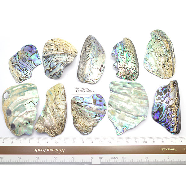 ニュージーランド(NZ) パウア貝(Paua Shell) 天然石ビーズ 販売