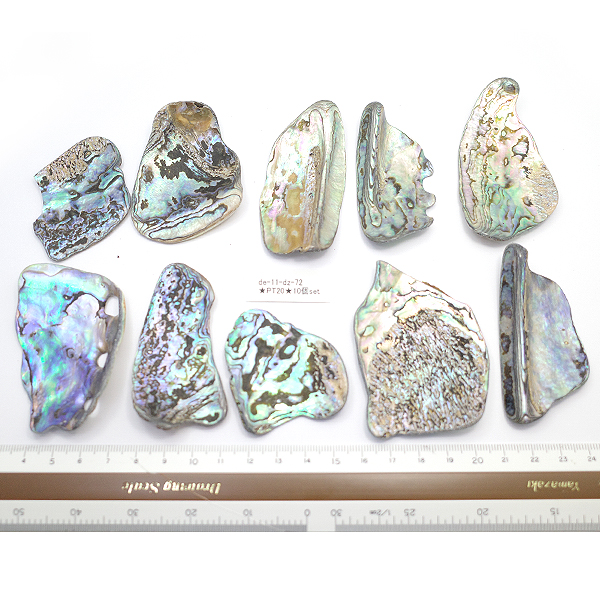 ニュージーランド(NZ) パウア貝(Paua Shell) 天然石ビーズ 販売
