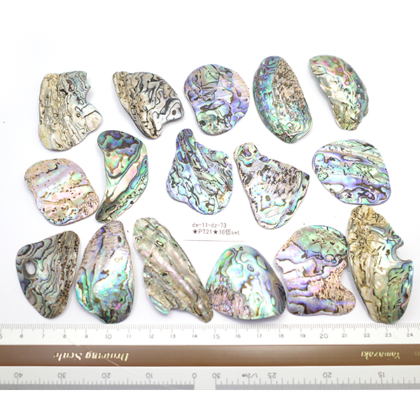 ニュージーランド(NZ) パウア貝(Paua Shell) 天然石ビーズ 販売