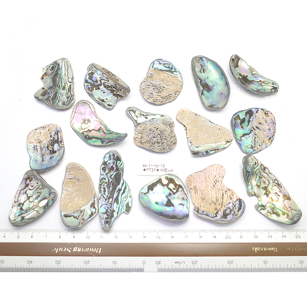 ニュージーランド(NZ) パウア貝(Paua Shell) 天然石ビーズ 販売