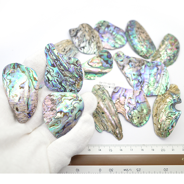 ニュージーランド(NZ) パウア貝(Paua Shell) 天然石ビーズ 販売