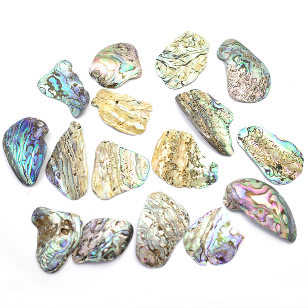 ニュージーランド(NZ) パウア貝(Paua Shell) 天然石ビーズ 販売