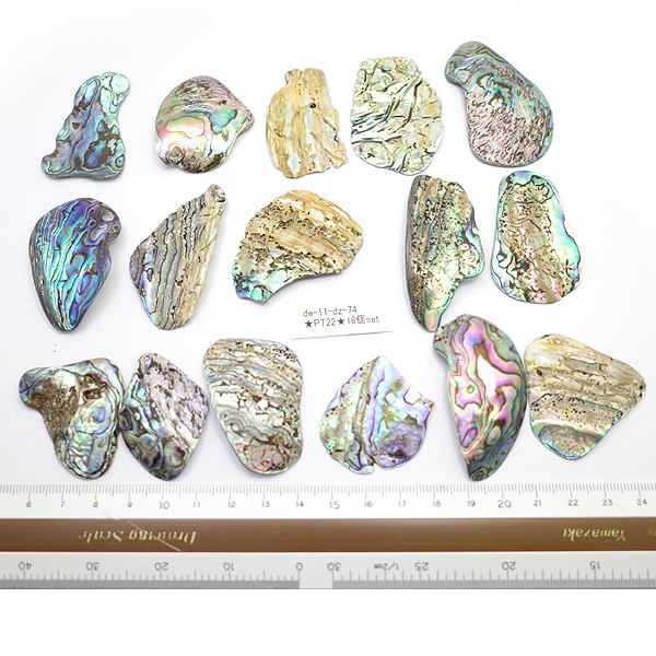 ニュージーランド(NZ) パウア貝(Paua Shell) 天然石ビーズ 販売
