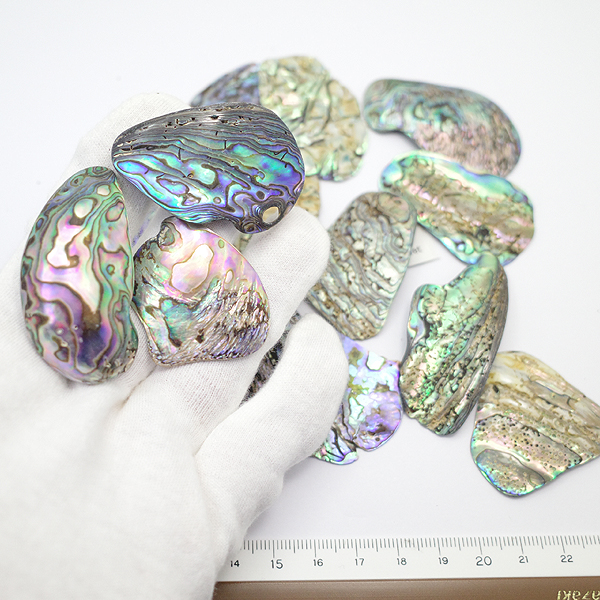 ニュージーランド(NZ) パウア貝(Paua Shell) 天然石ビーズ 販売