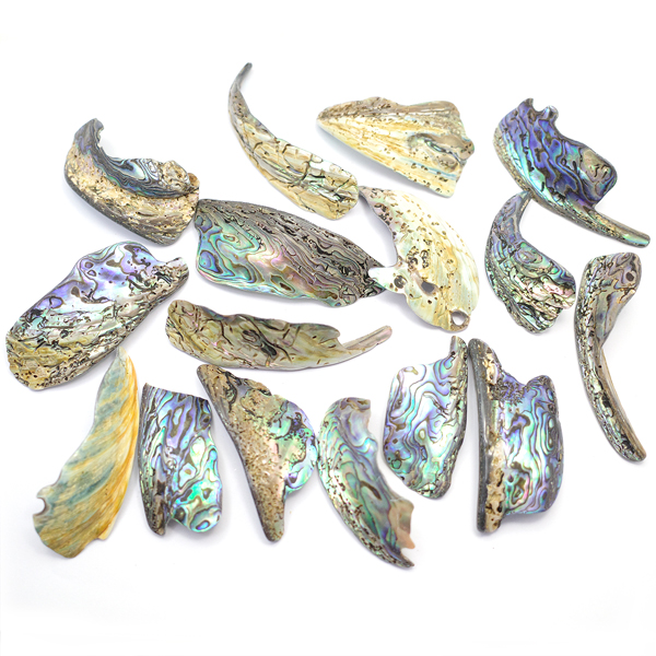 ニュージーランド(NZ) パウア貝(Paua Shell) 天然石ビーズ 販売