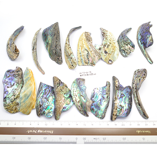 ニュージーランド(NZ) パウア貝(Paua Shell) 天然石ビーズ 販売