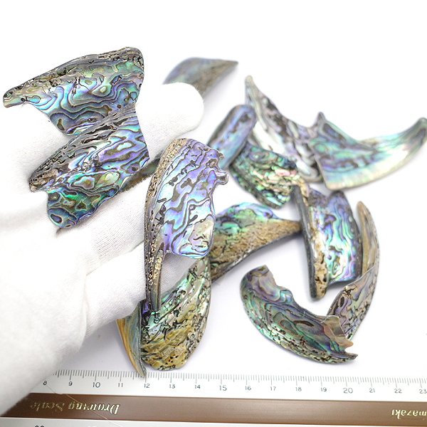 ニュージーランド(NZ) パウア貝(Paua Shell) 天然石ビーズ 販売