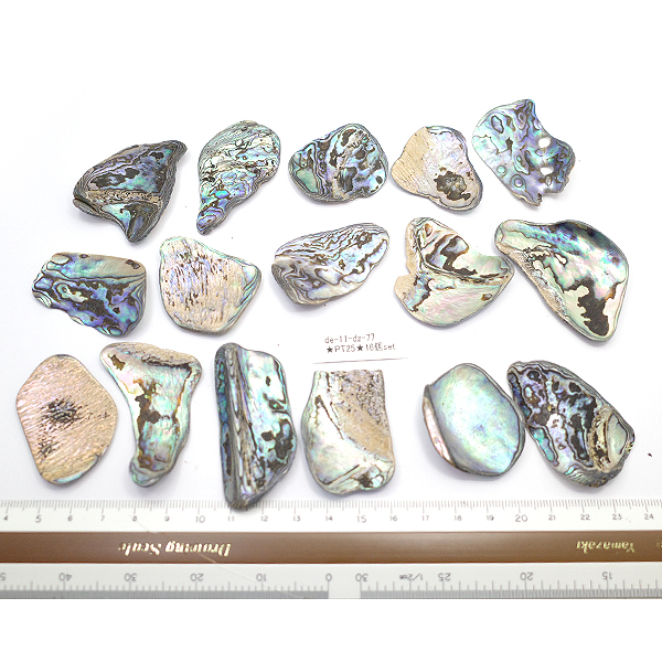 ニュージーランド(NZ) パウア貝(Paua Shell) 天然石ビーズ 販売