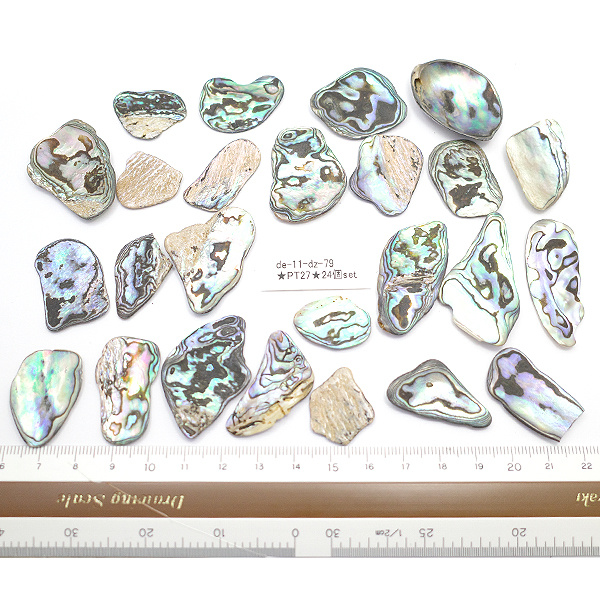 ニュージーランド(NZ) パウア貝(Paua Shell) 天然石ビーズ 販売