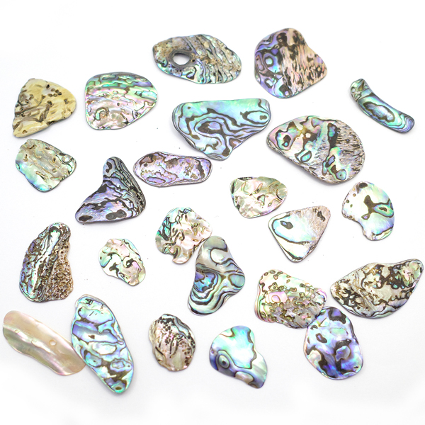 ニュージーランド(NZ) パウア貝(Paua Shell) 天然石ビーズ 販売