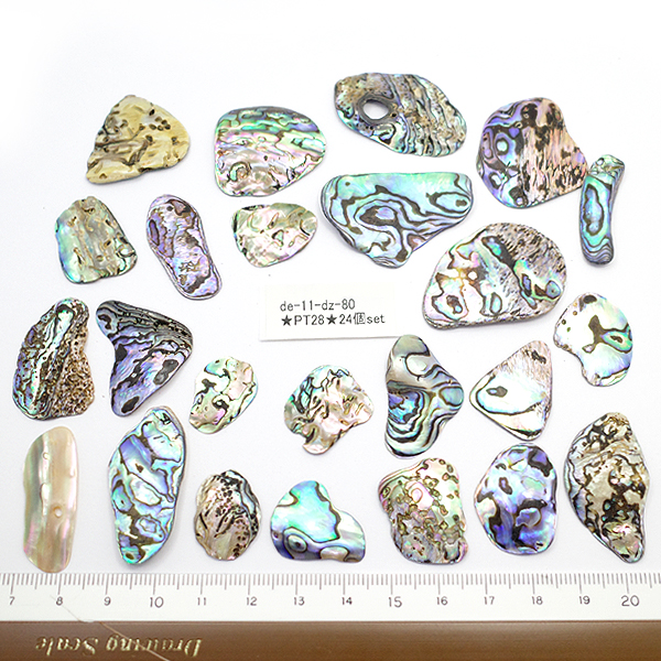 ニュージーランド(NZ) パウア貝(Paua Shell) 天然石ビーズ 販売