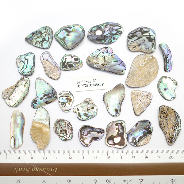 ニュージーランド(NZ) パウア貝(Paua Shell) 天然石ビーズ 販売