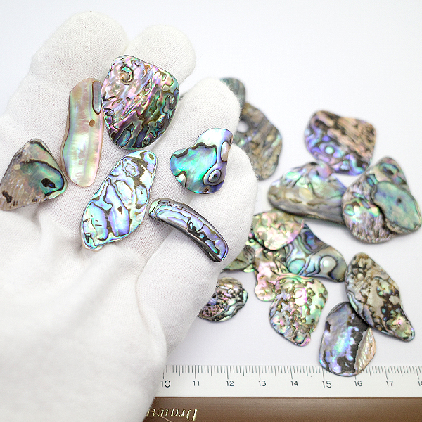 ニュージーランド(NZ) パウア貝(Paua Shell) 天然石ビーズ 販売