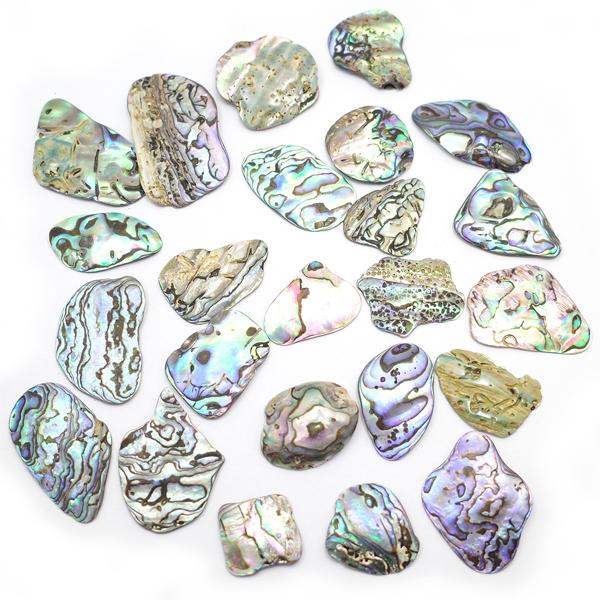 ニュージーランド(NZ) パウア貝(Paua Shell) 天然石ビーズ 販売