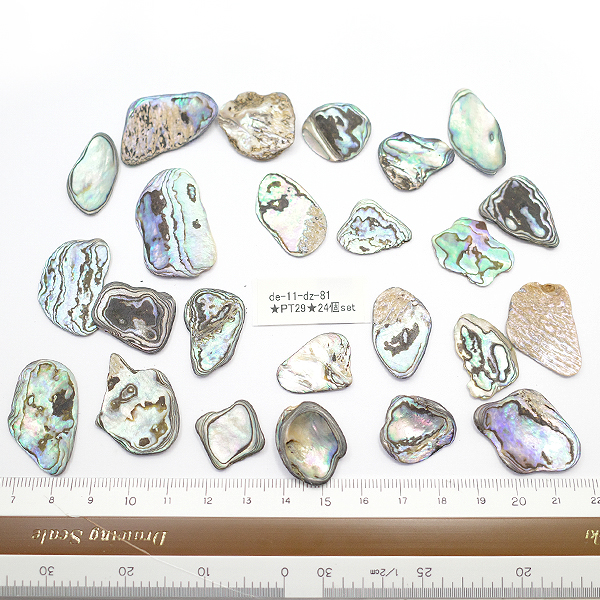 ニュージーランド(NZ) パウア貝(Paua Shell) 天然石ビーズ 販売