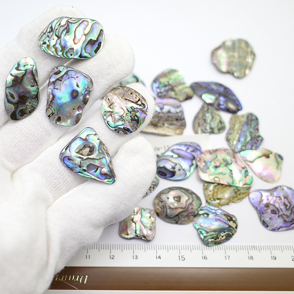 ニュージーランド(NZ) パウア貝(Paua Shell) 天然石ビーズ 販売