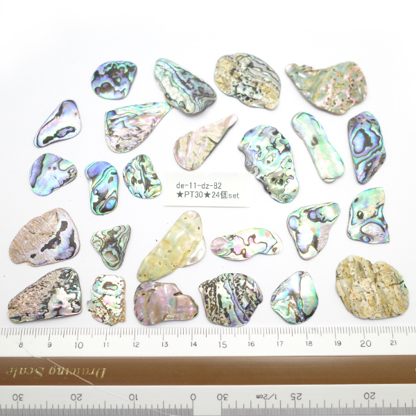 ニュージーランド(NZ) パウア貝(Paua Shell) 天然石ビーズ 販売
