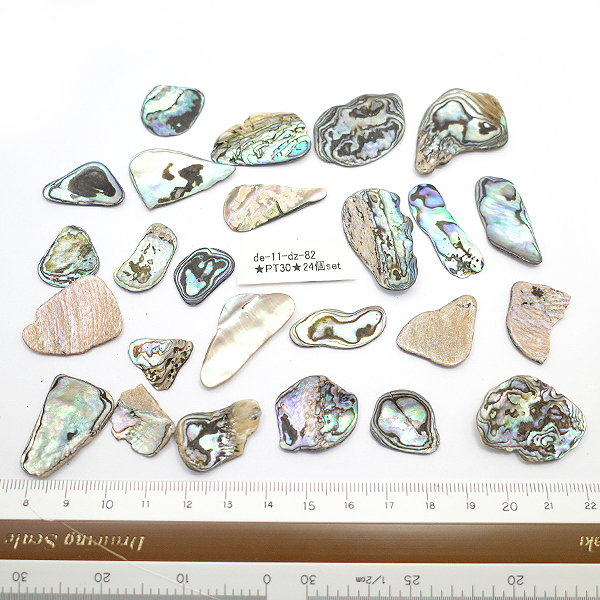 ニュージーランド(NZ) パウア貝(Paua Shell) 天然石ビーズ 販売