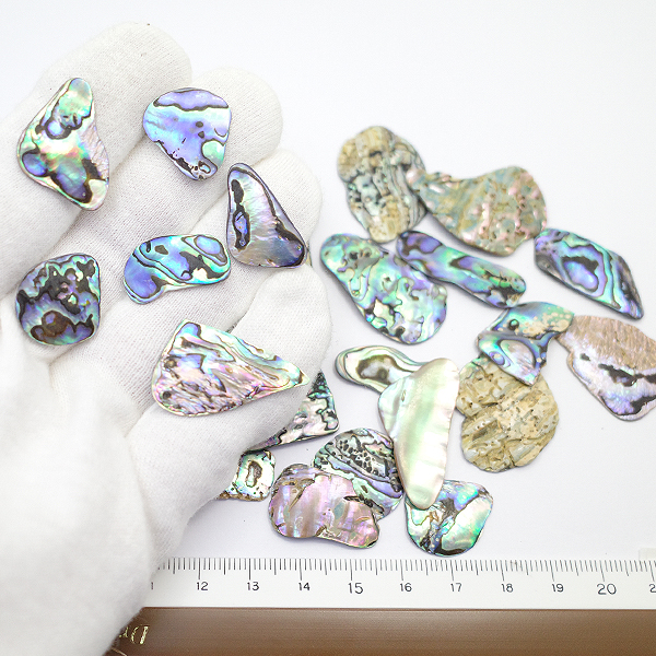 ニュージーランド(NZ) パウア貝(Paua Shell) 天然石ビーズ 販売