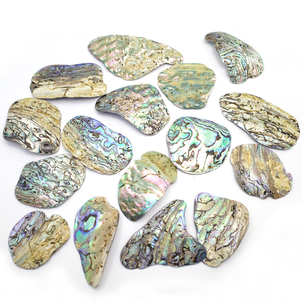 ニュージーランド(NZ) パウア貝(Paua Shell) 天然石ビーズ 販売