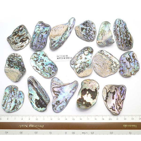 ニュージーランド(NZ) パウア貝(Paua Shell) 天然石ビーズ 販売