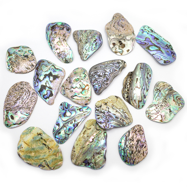 j[W[h(my)@pEAL(Paua Shell) VR΃r[Y ̔