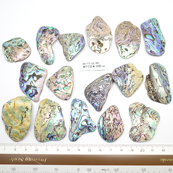 j[W[h(my)@pEAL(Paua Shell) VR΃r[Y ̔