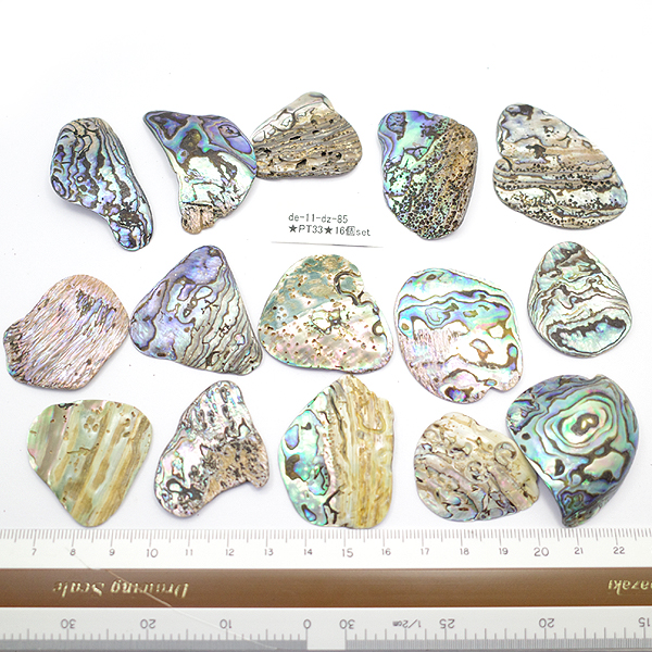 ニュージーランド(NZ) パウア貝(Paua Shell) 天然石ビーズ 販売