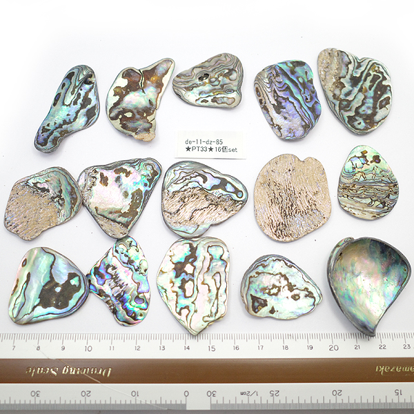 ニュージーランド(NZ) パウア貝(Paua Shell) 天然石ビーズ 販売