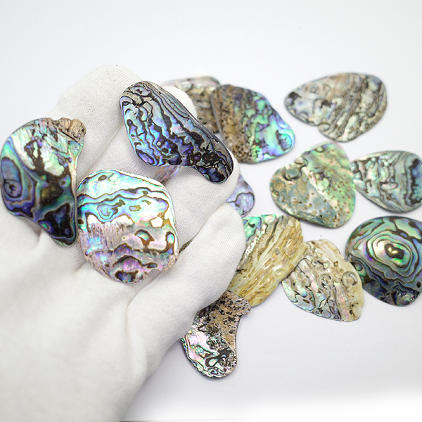 ニュージーランド(NZ) パウア貝(Paua Shell) 天然石ビーズ 販売