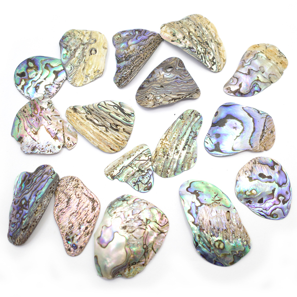 ニュージーランド(NZ) パウア貝(Paua Shell) 天然石ビーズ 販売