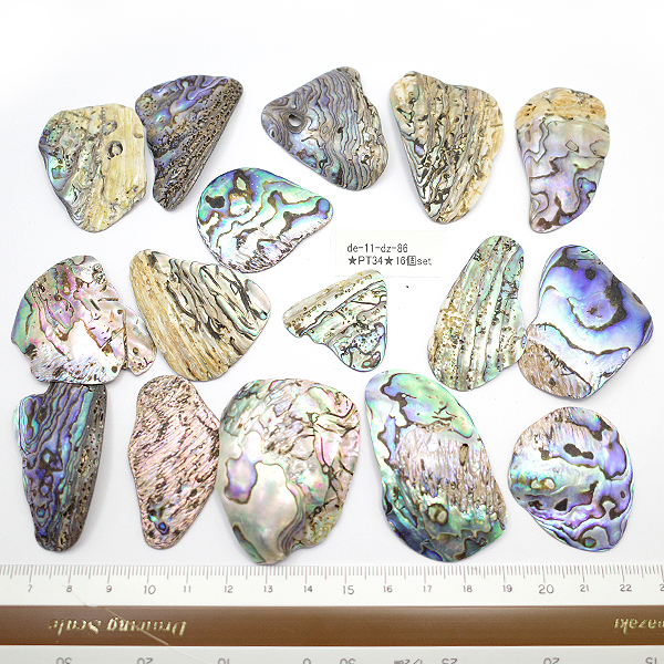 ニュージーランド(NZ) パウア貝(Paua Shell) 天然石ビーズ 販売
