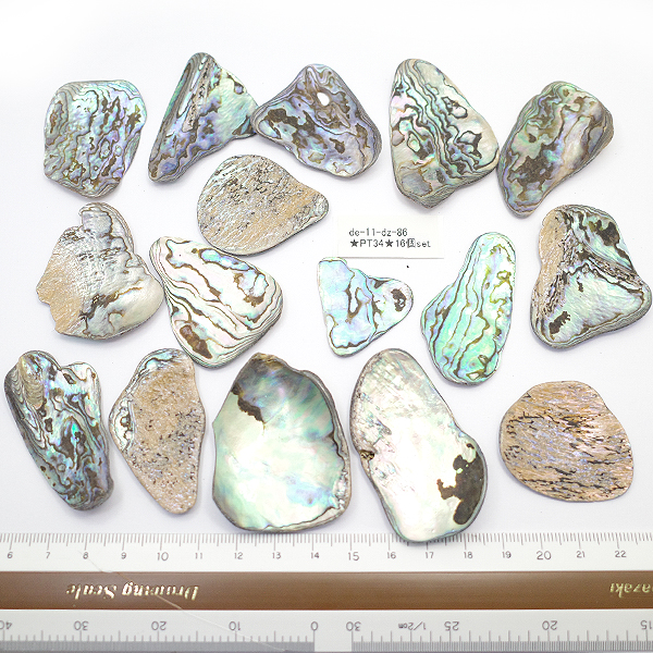 ニュージーランド(NZ) パウア貝(Paua Shell) 天然石ビーズ 販売