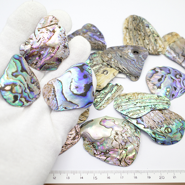 ニュージーランド(NZ) パウア貝(Paua Shell) 天然石ビーズ 販売